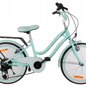 ROWEREK HEART BIKE SHIMANO 20 CALI MIĘTOWY 0301642 WERSJA 2025r